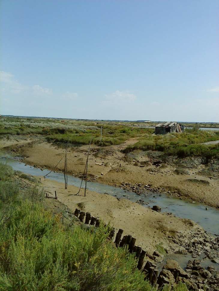 Marais salant G.K - Mornac-sur-Seudre