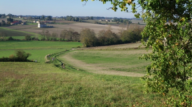 Paysage de Moulons - Pommiers-Moulons