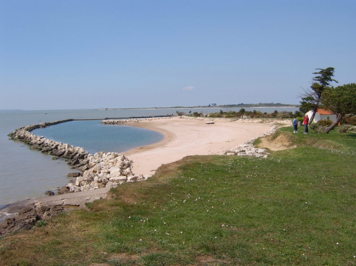 Piscine naturelle port des barques - Port-des-Barques