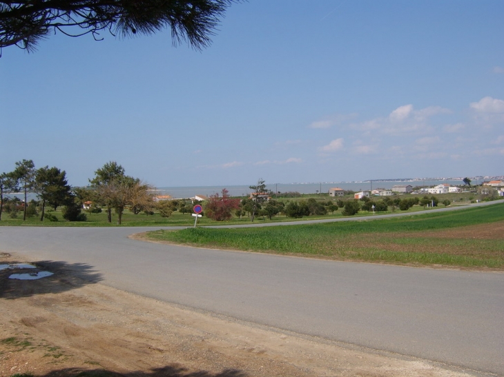 Sur les hauteurs de ports des barques - Port-des-Barques