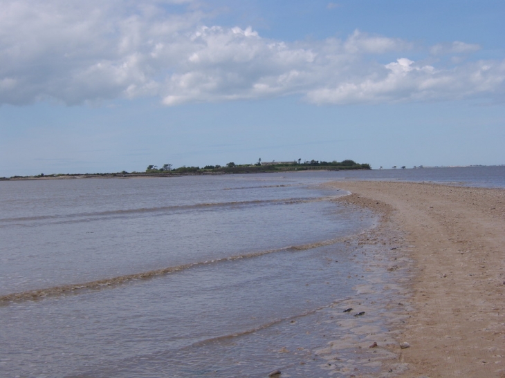 Passe aux boeufs, ile madame - Port-des-Barques