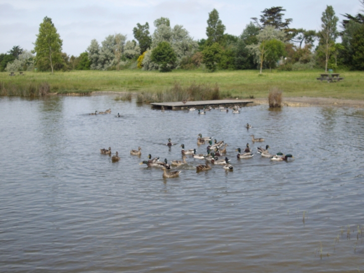 Port des barques - Port-des-Barques