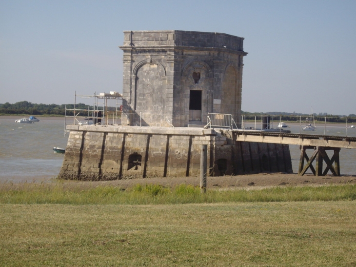 A fort lupin - Port-des-Barques