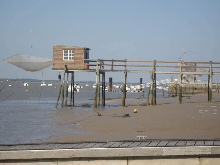 A fort lupin - Port-des-Barques