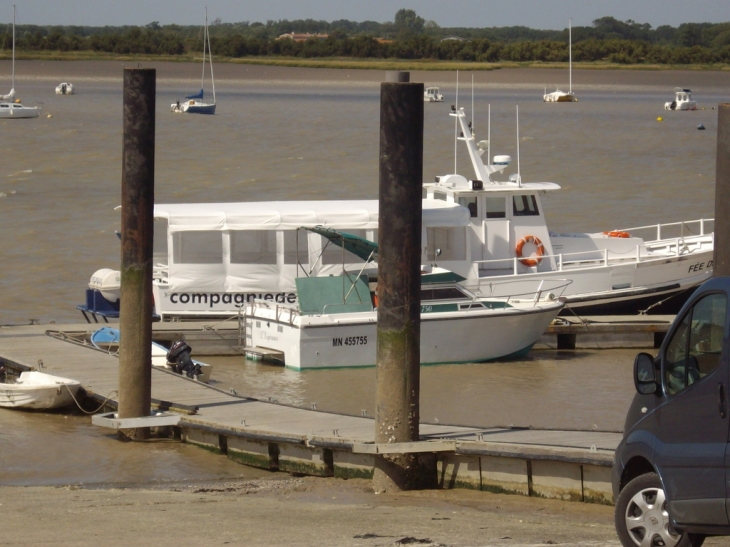 A fort lupin - Port-des-Barques