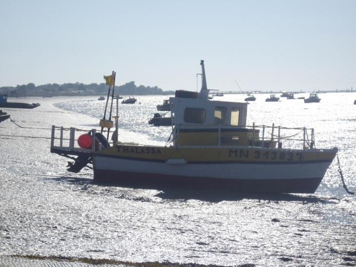 A fort lupin - Port-des-Barques