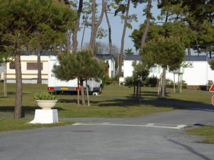 Camping - Port-des-Barques