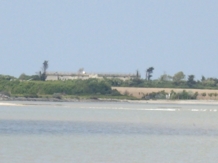 Ile madame vue de port des barques - Port-des-Barques