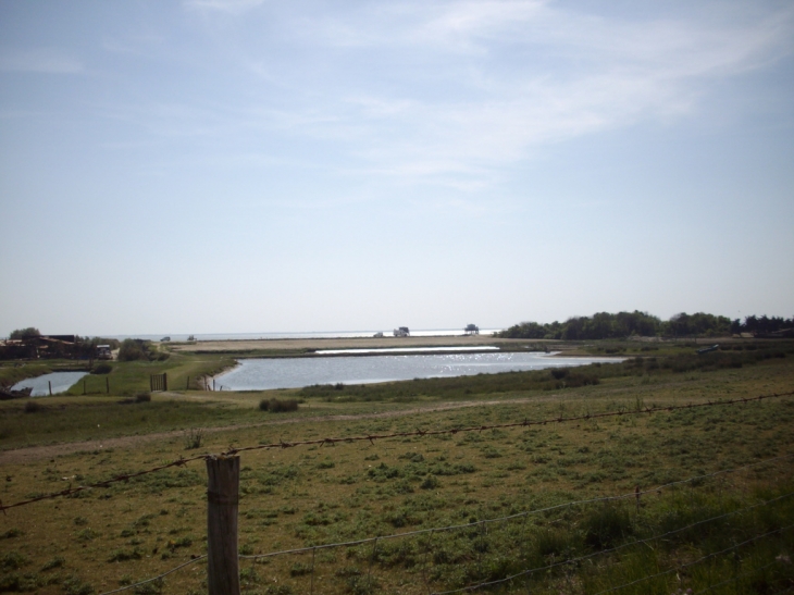 Ile madame - Port-des-Barques