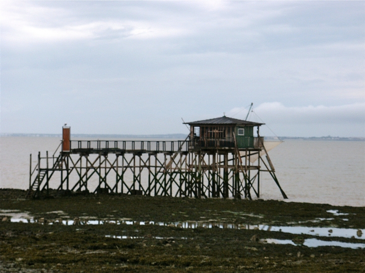 A l'île Madame. - Port-des-Barques