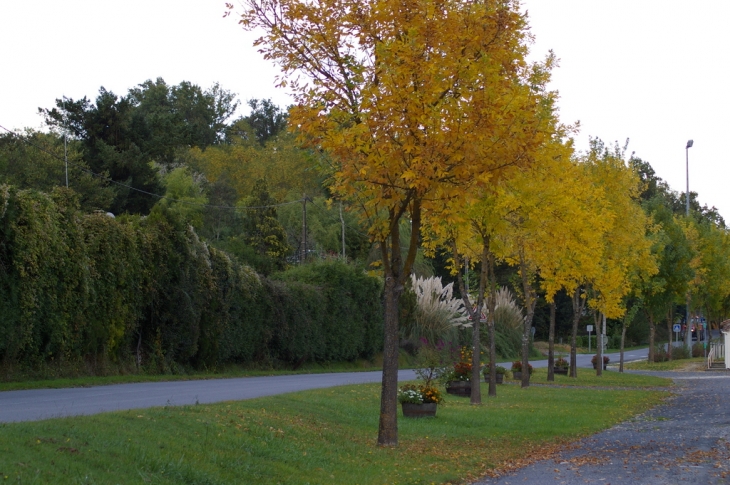 Parure d'Automne  route de la Vallée - Saint-Césaire