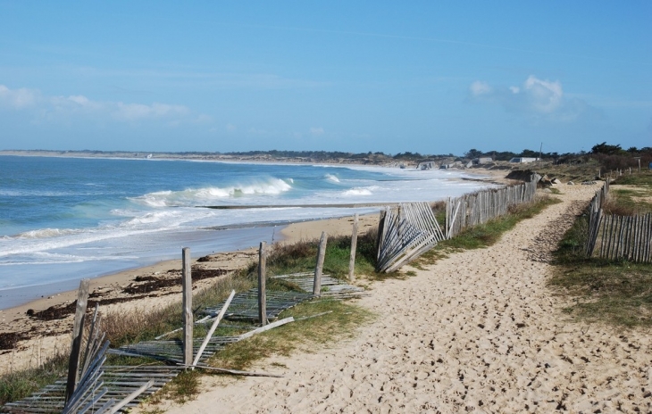 La conche des baleines - Saint-Clément-des-Baleines