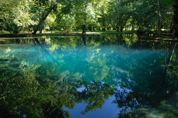 Les Fontaines Bleues du parc du Château de Beaulon  - crédit Philippe Bizet - Saint-Dizant-du-Gua