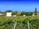 le village vue de la route de Saint Ciers du Taillon - crédit Philippe Bizet