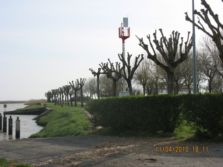 Port Mauber vers la mer - Saint-Fort-sur-Gironde