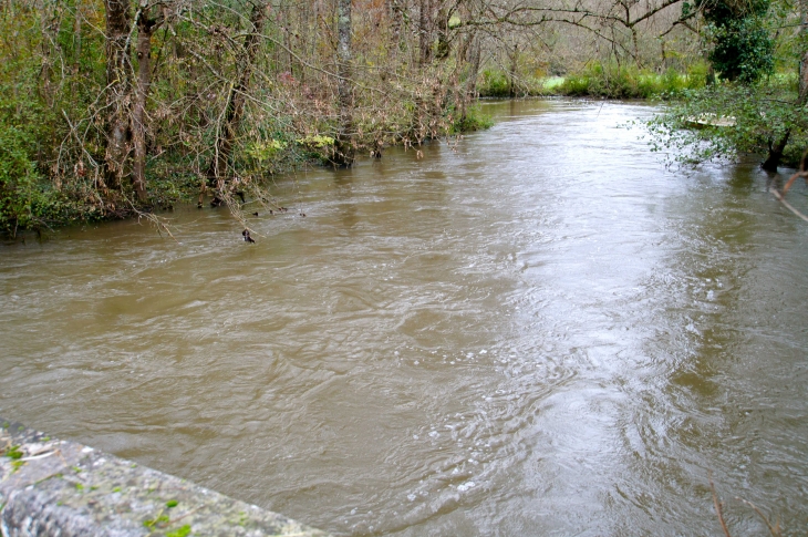 La Seugne à Garreau. - Saint-Georges-Antignac