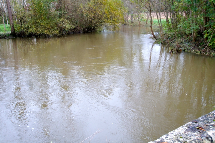 La Seugne à Garreau. - Saint-Georges-Antignac