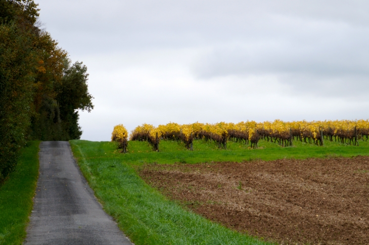 Aux alentours. - Saint-Georges-Antignac