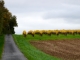 Photo précédente de Saint-Georges-Antignac Aux alentours.