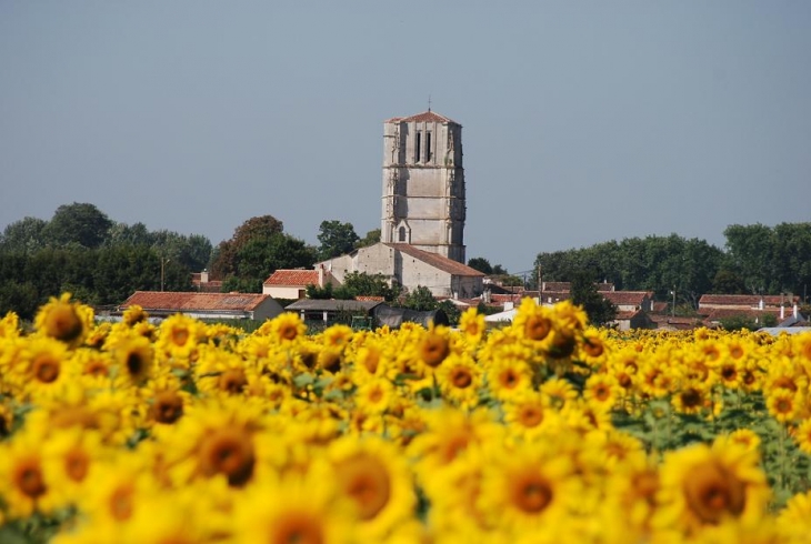 St Jean d'Angle, vue générale de l'Est - Saint-Jean-d'Angle