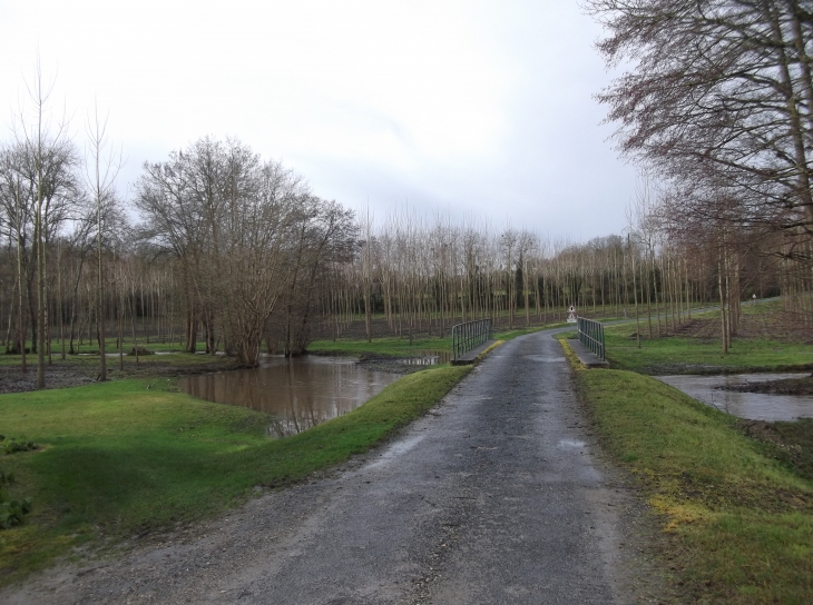 Le Lary après une forte pluie - Saint-Palais-de-Négrignac