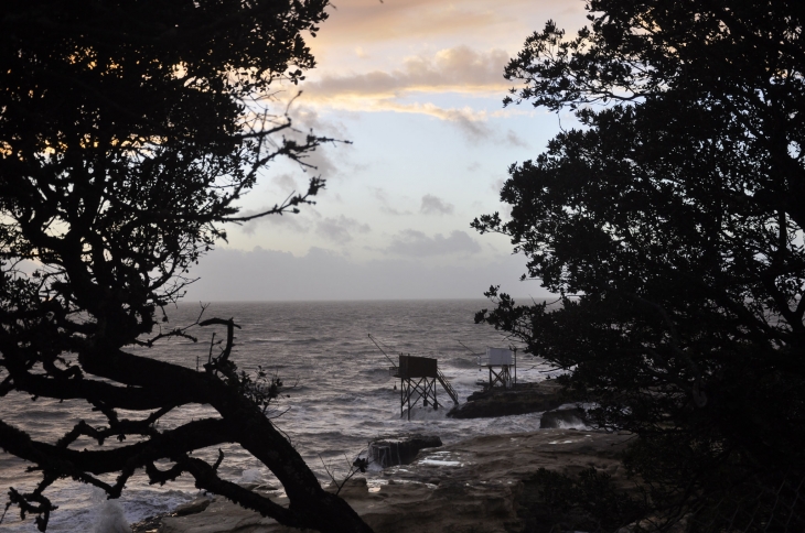 SUR LE CHEMIN DES DOUANIERS - Saint-Palais-sur-Mer