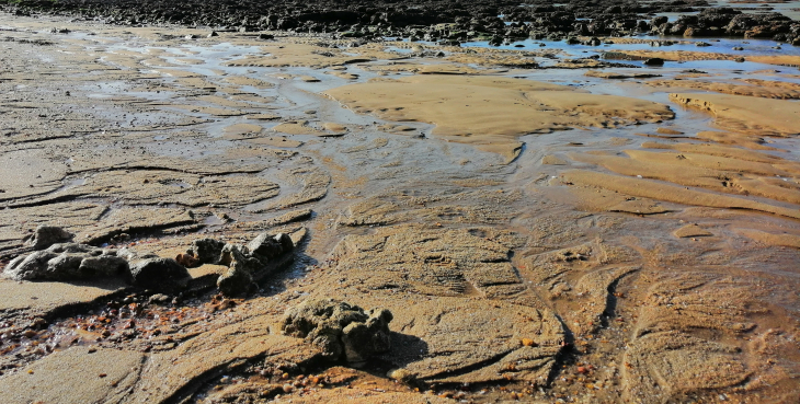 Gris Marron sur fond Bleu, plage du Platin - Saint-Palais-sur-Mer