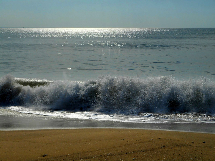 Parfois une vague prend son élan, le Platin - Saint-Palais-sur-Mer