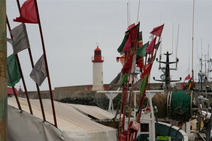 Port de la Cotinière - Saint-Pierre-d'Oléron