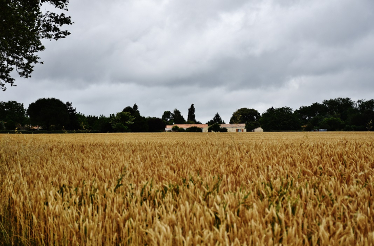 La Commune - Saint-Sornin