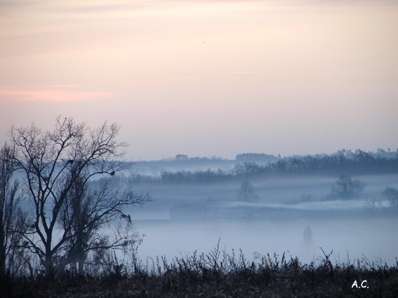 Un matin d'automne - Semoussac