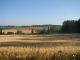 Photo précédente de Semoussac Céréales