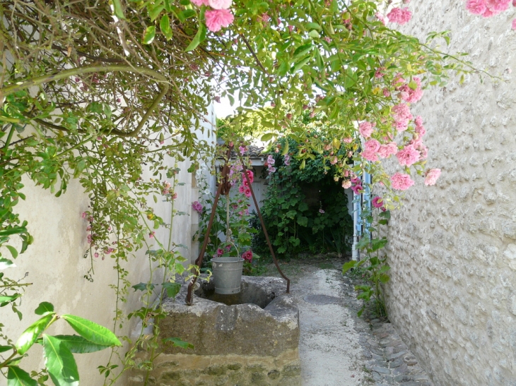 1 tres belle ruelle - Talmont-sur-Gironde