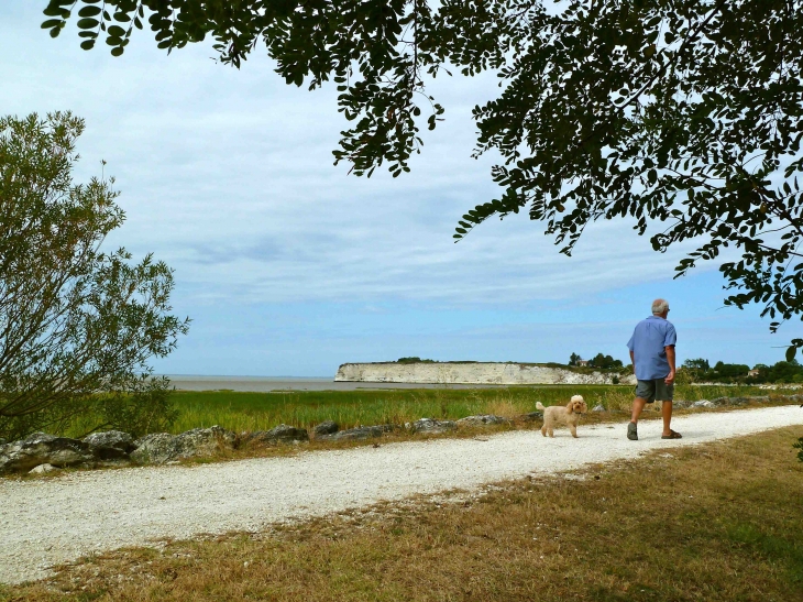 L'estuaire de la Gironde - Talmont-sur-Gironde