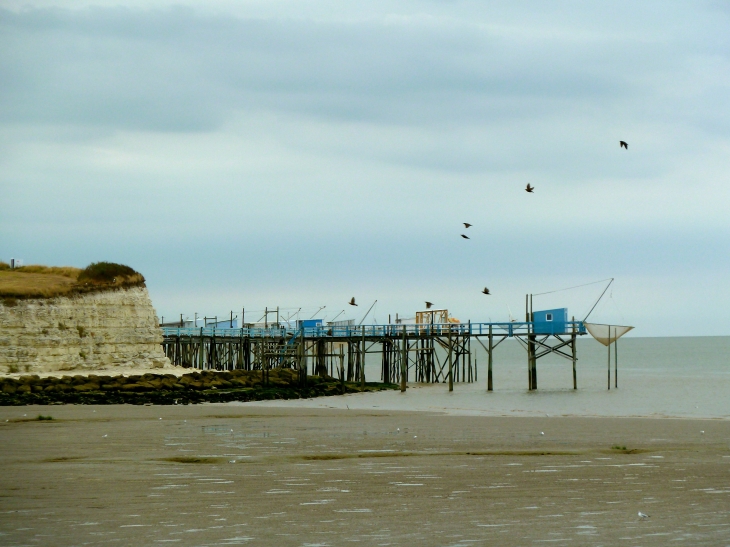 Les Carrelets et le vol de mouettes - Talmont-sur-Gironde