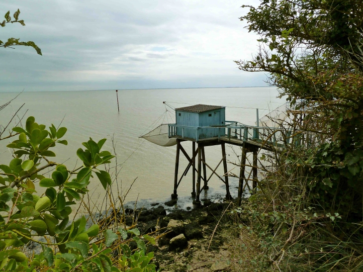 Le Carrelet et l'estuaire de la Gironde - Talmont-sur-Gironde