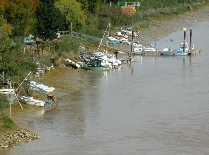 La Charente, vue du Pont - Tonnay-Charente