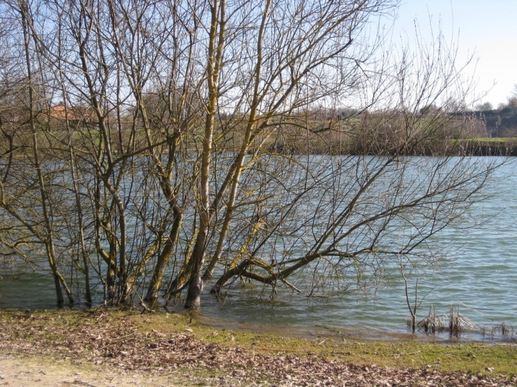 Au printemps le Lac de Trizay sorti de son lit