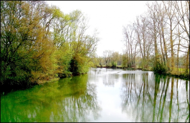 Un bras de La Charente - Bignac