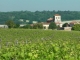 Chadurie dans les vignes