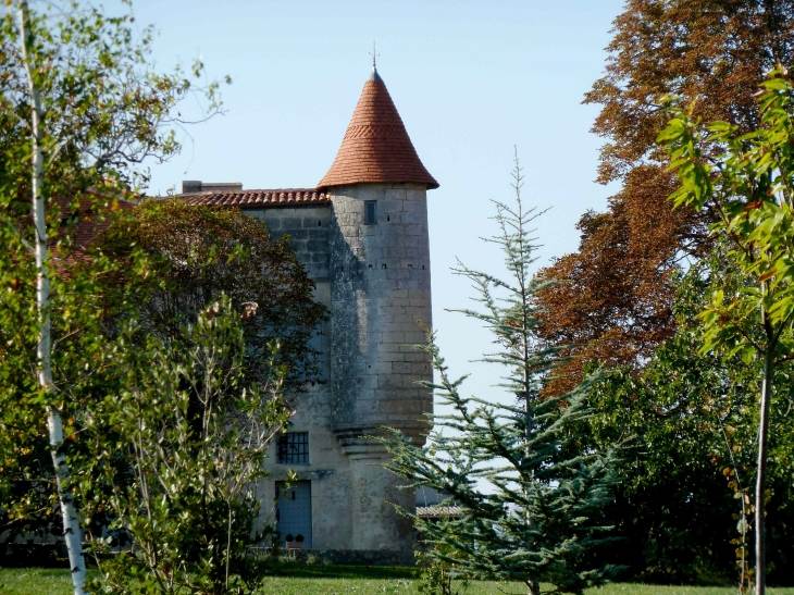 Tourelle d'angle en encorbellement (château). - Charmant