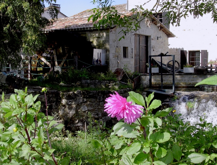 Chazelles - Sur les bords du Bandiat