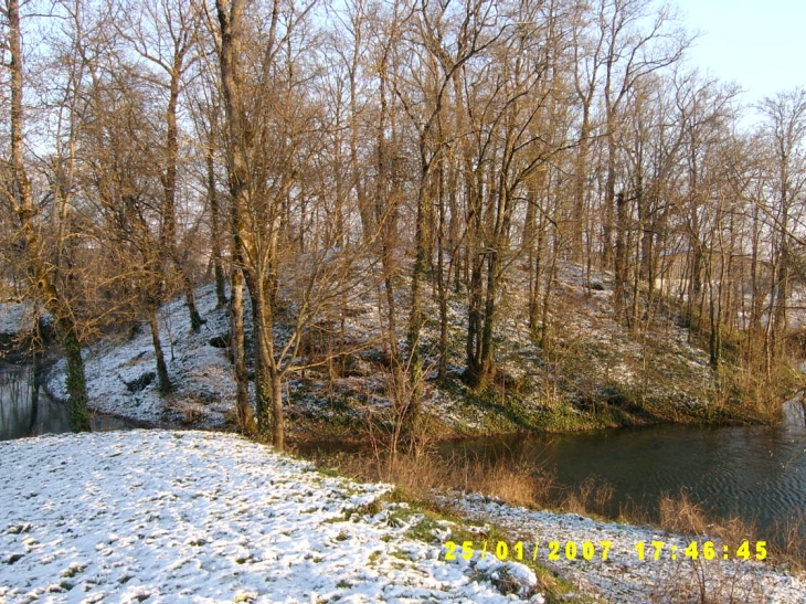 Motte à Peljeau - Les Métairies