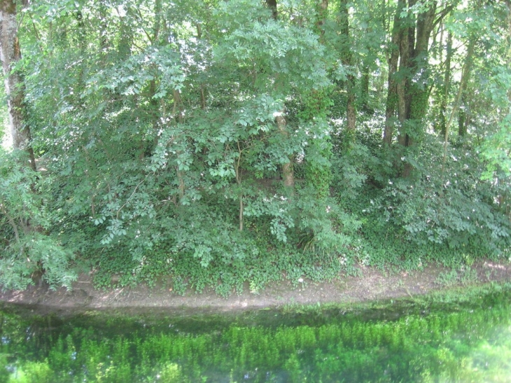 Motte à Peljeau - Les Métairies