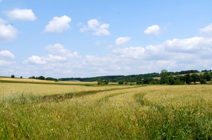 Aux alentours. - Marcillac-Lanville