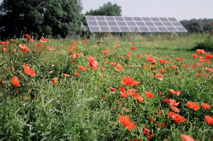 Coquelicots et panneaux solaires - Montbron