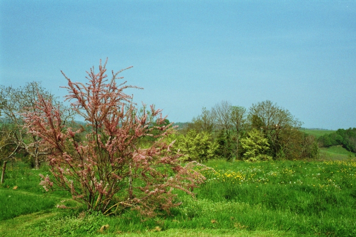 PRINTEMPS 2005 - Montbron