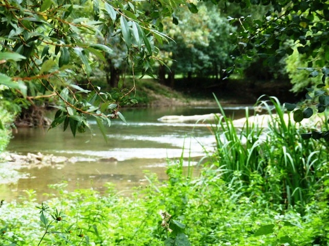 Quelque part autour de la baignade - Montignac-Charente