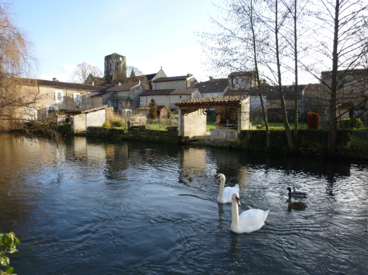 Sur la Boëme,une rencontre majestueuse... - Mouthiers-sur-Boëme