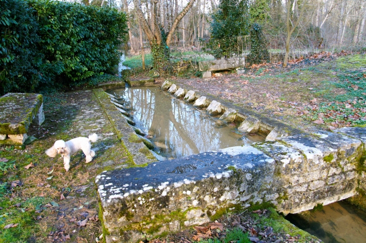 Fontaine et lavoir au pied de l'église Saint Martial. - Mouton